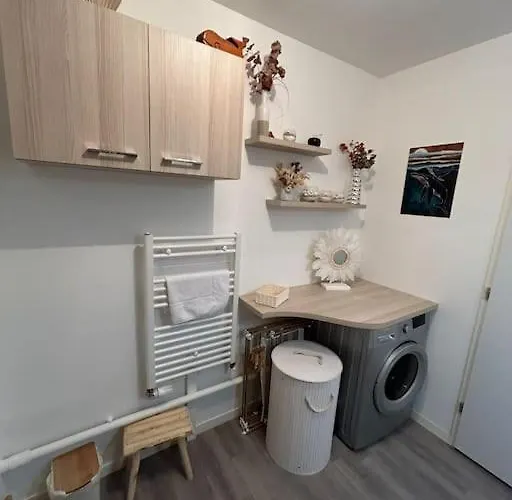 Apartment Recent Confort