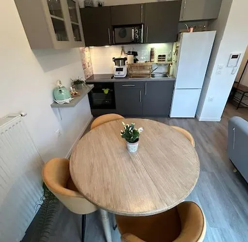 Recent Confort Apartment *