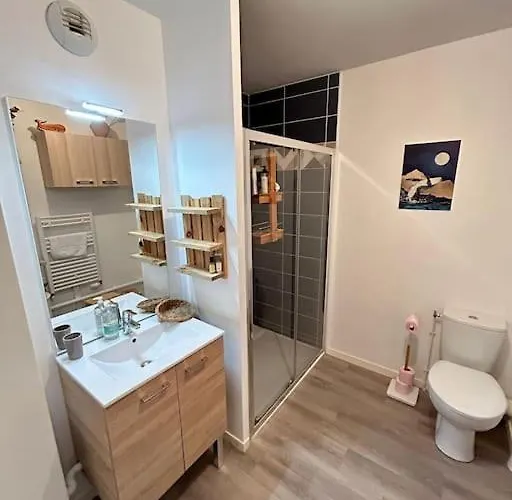 Recent Confort Apartment Caen